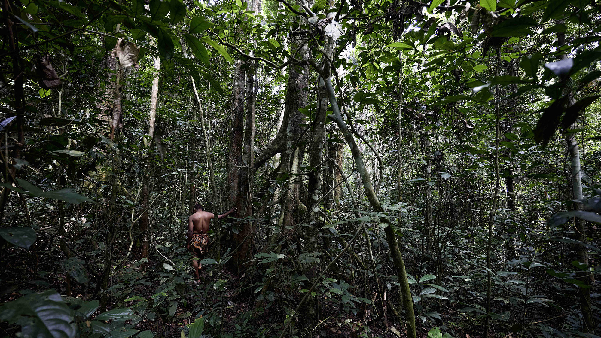 SPIRIT_OF_JUNGLE_06